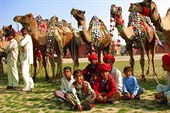 Bikaner Camel festival